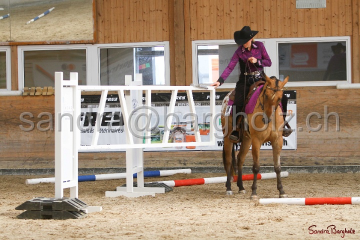 26-ApHC GT_015.jpg